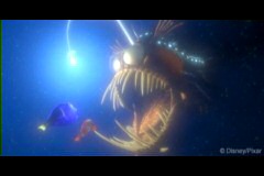 Finding Nemo